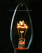 wp29658555_0f.jpg