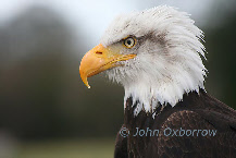 wp425dfa00_0f.jpg