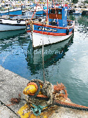 wp9f57473f_0f.jpg